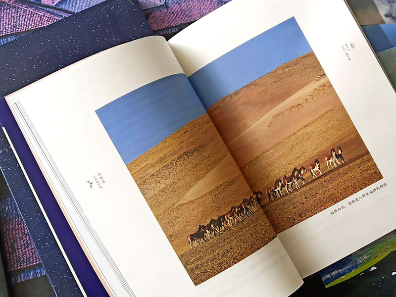 圖書出版物——山知道